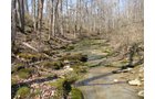 Property photo 51 - 137 Acres in 2 Tracts - 64 Tillable Acres, Potential Building Sites, Hunting